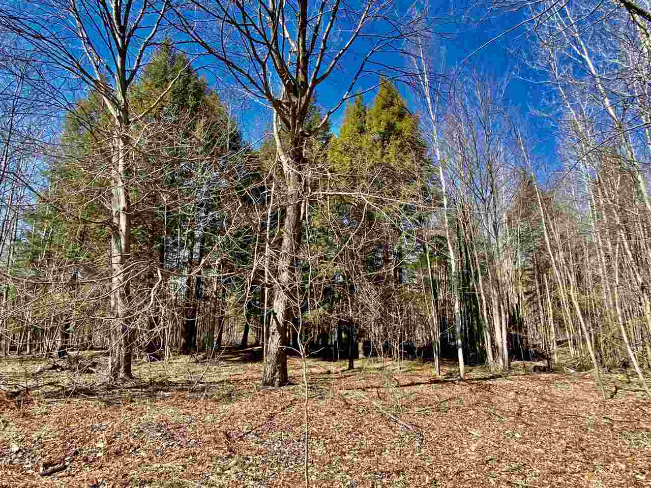 2859 Grout Road Beaverton, MI 48612 - Photo 11 of 31