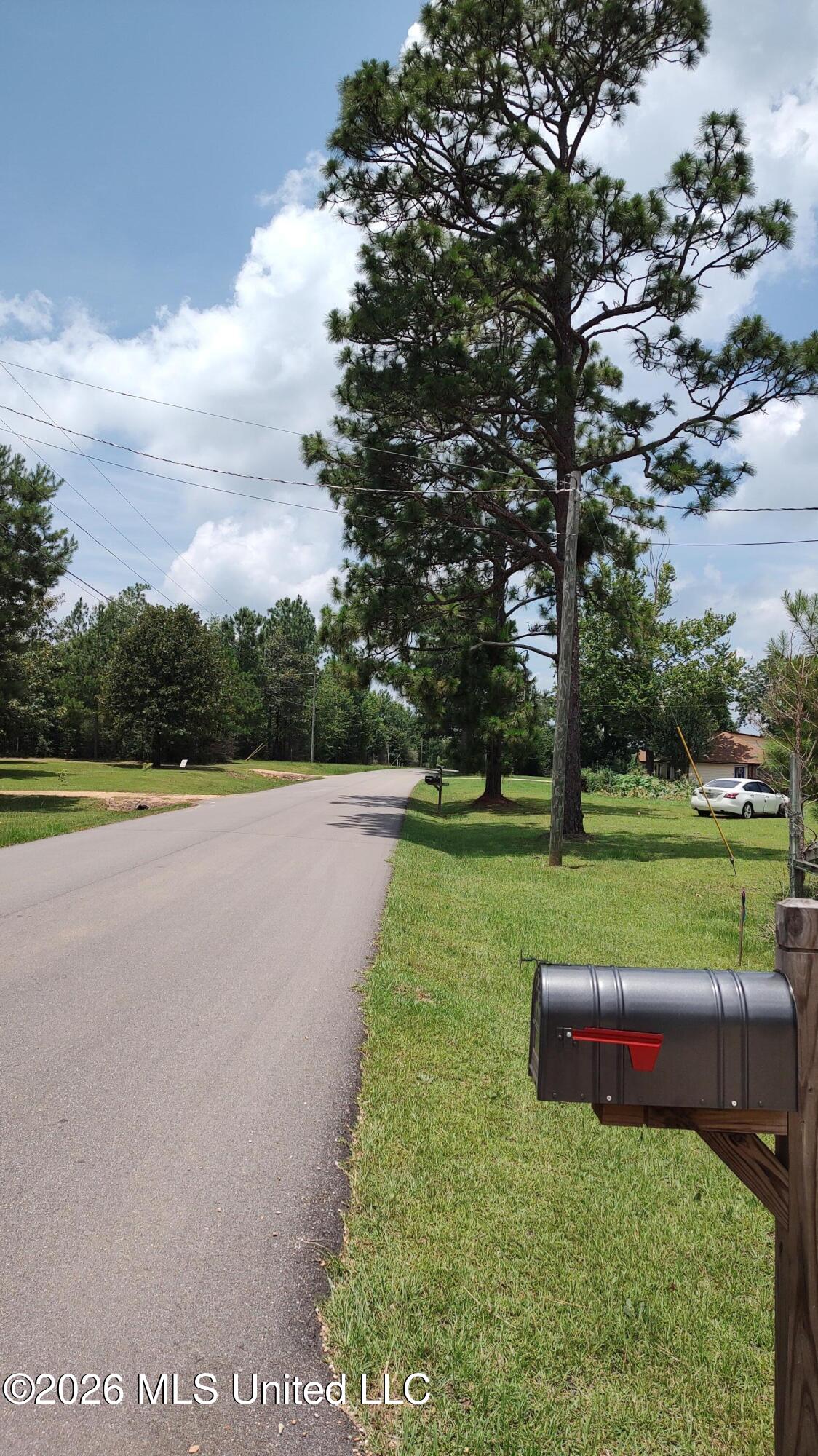 1090 Bilbo Road Lumberton, MS 39455 - Photo 19 of 19 Road view