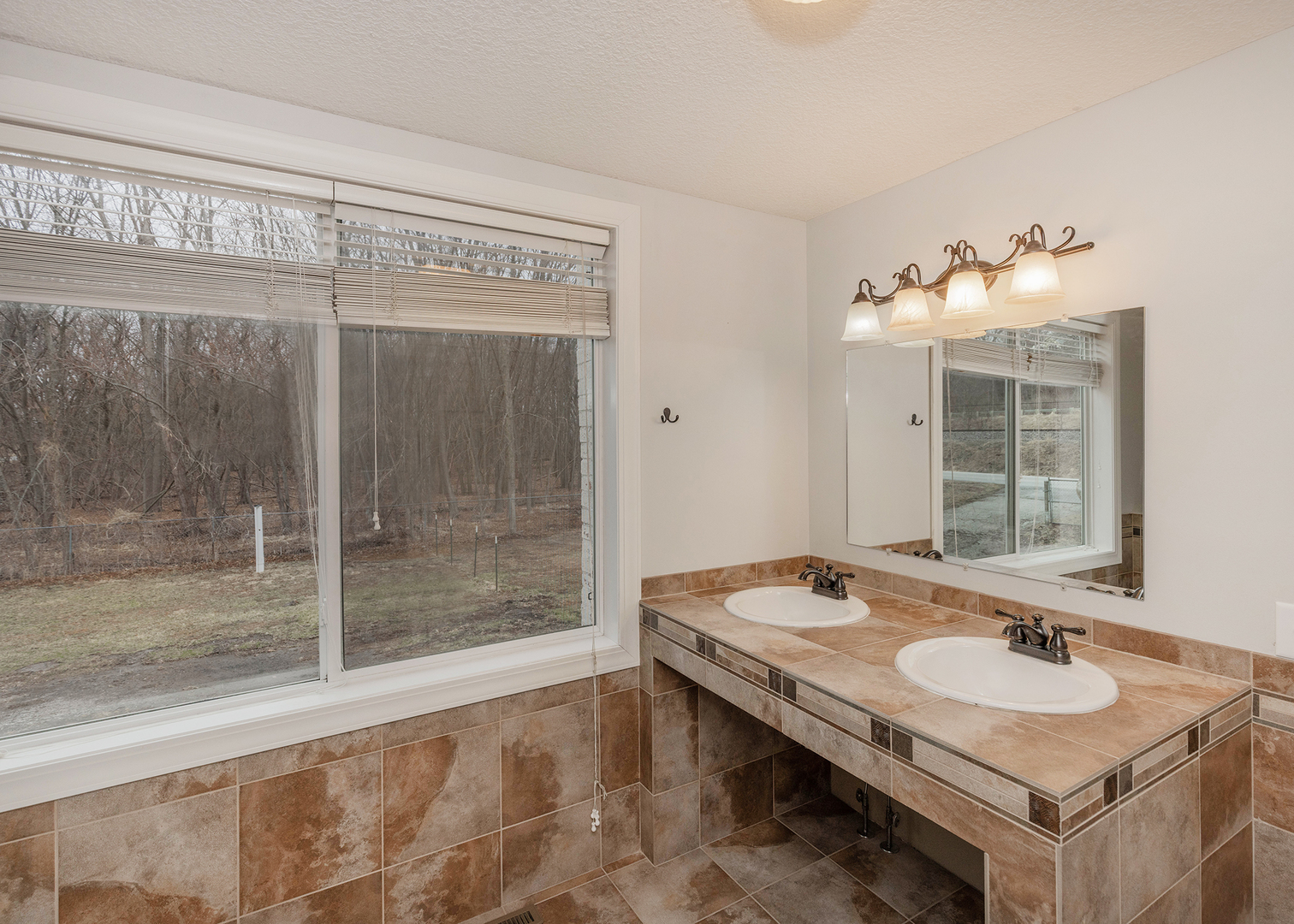 25199 182nd Street Pleasant Valley, IA 52767 - Photo 16 of 37 a bathroom with a sink and a mirror