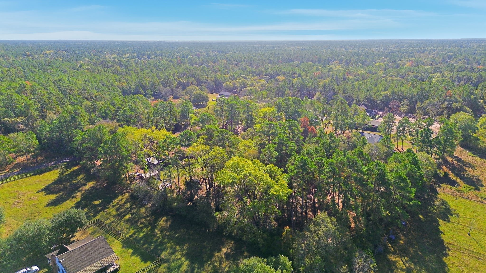 17028 Lively Road Waller, TX 77484 - Photo 16 of 20 a view of a city with lush green forest