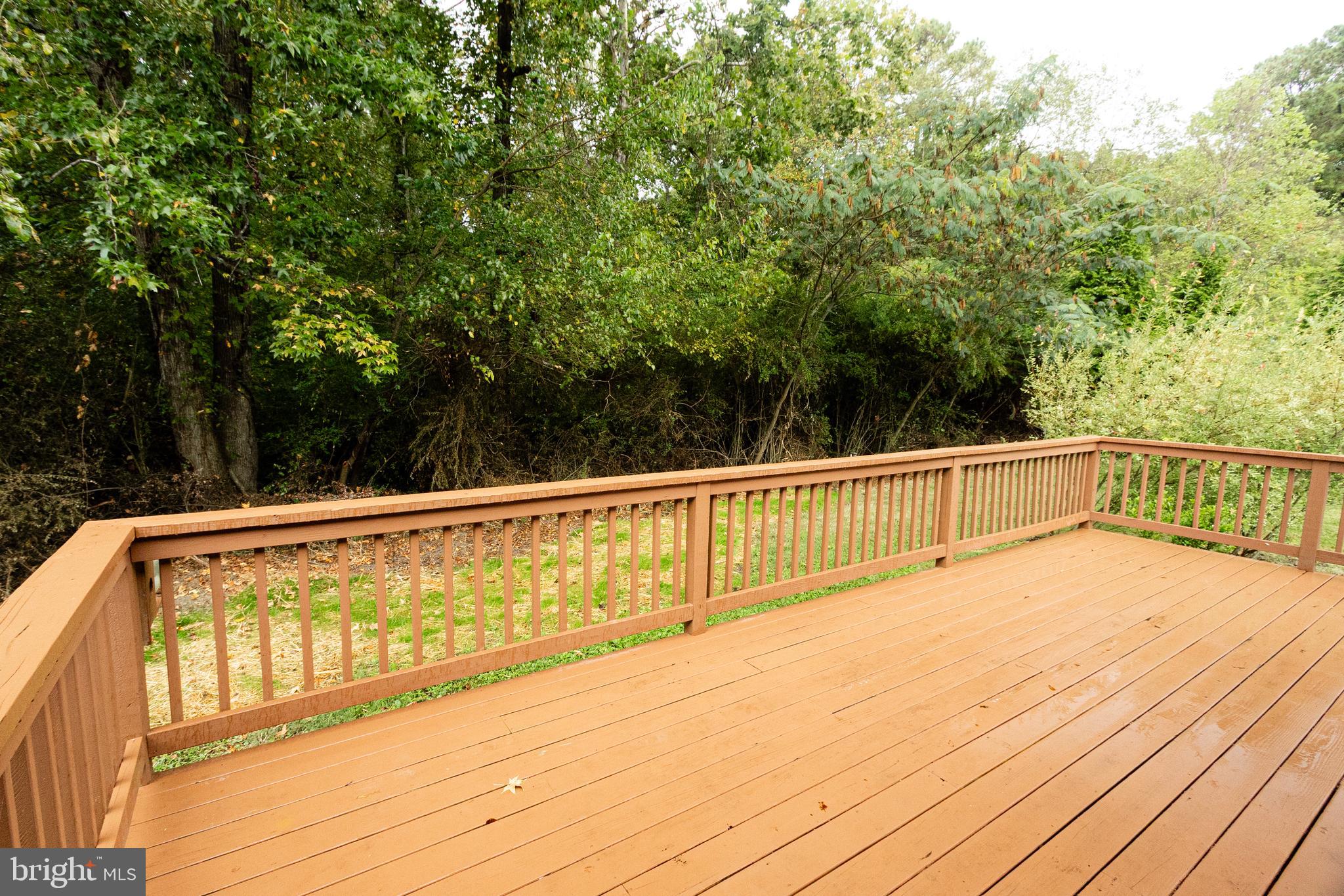 23849 Point Lookout Road Leonardtown, MD 20650 - Photo 8 of 37 Gallery Image 8