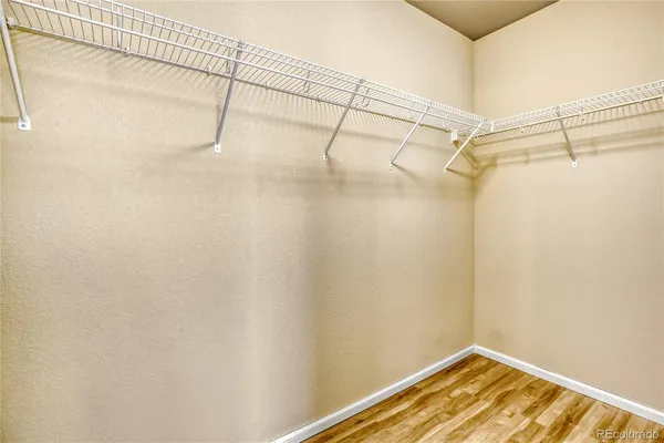 $3,195 | 161 Monares Lane, Erie, CO 80516