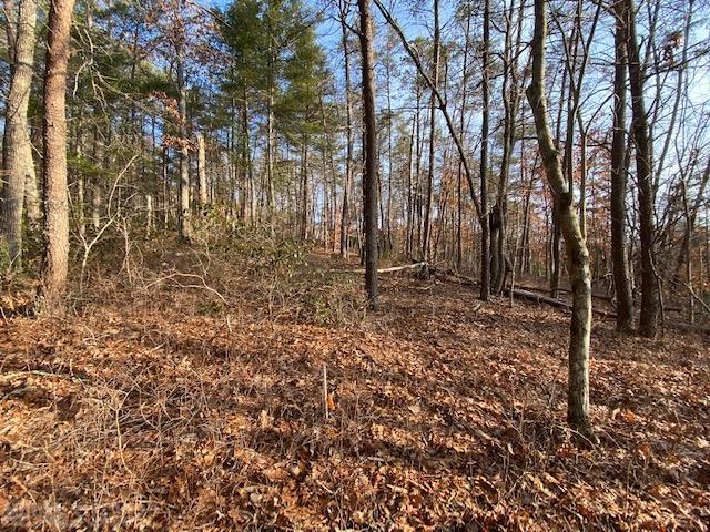 Tbd Flatwoods Road Elliston, VA 24087 - Photo 13 of 13 Gallery Image 13