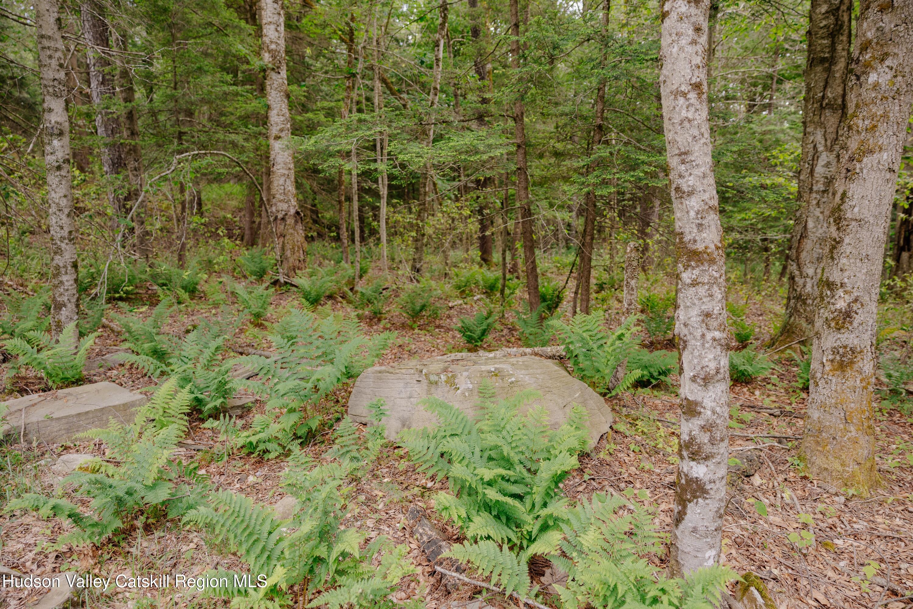 Tbd Church Lake Road Livingston Manor, NY 12758 - Photo 16 of 33 shandelee-woods-thatupstateagent-1-16