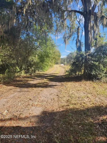 a view of dirt yard with a large tree