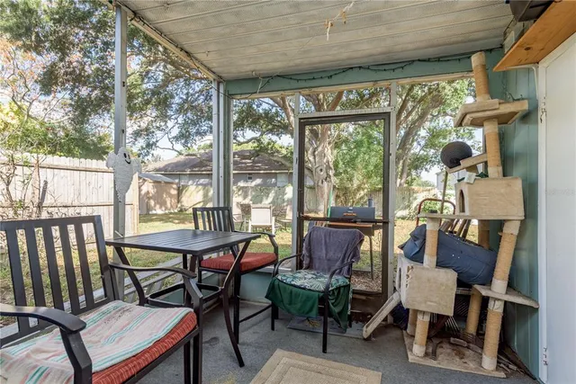 a street view covered with tall trees