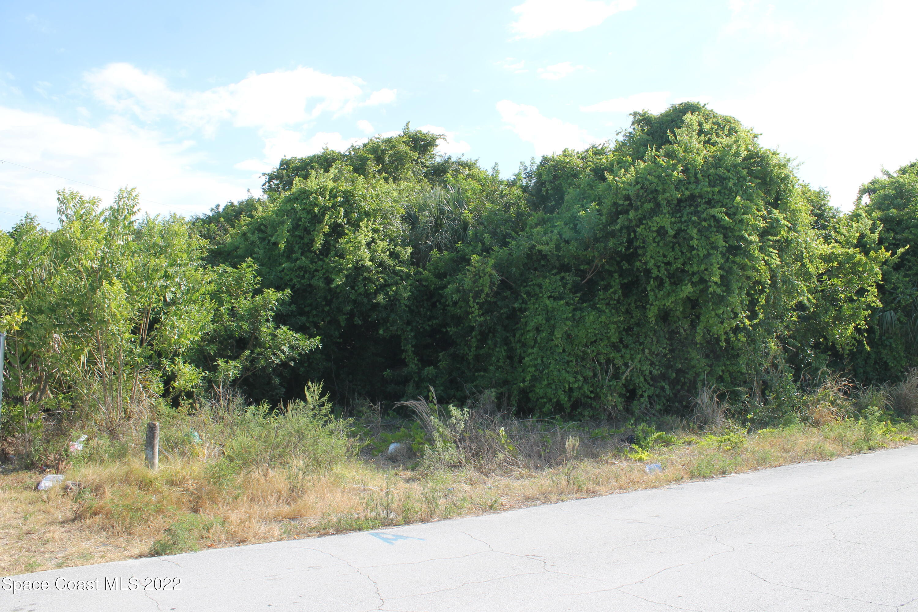 None Ruth Avenue Cocoa, FL 32922 - Photo 1 of 3 IMG_9131