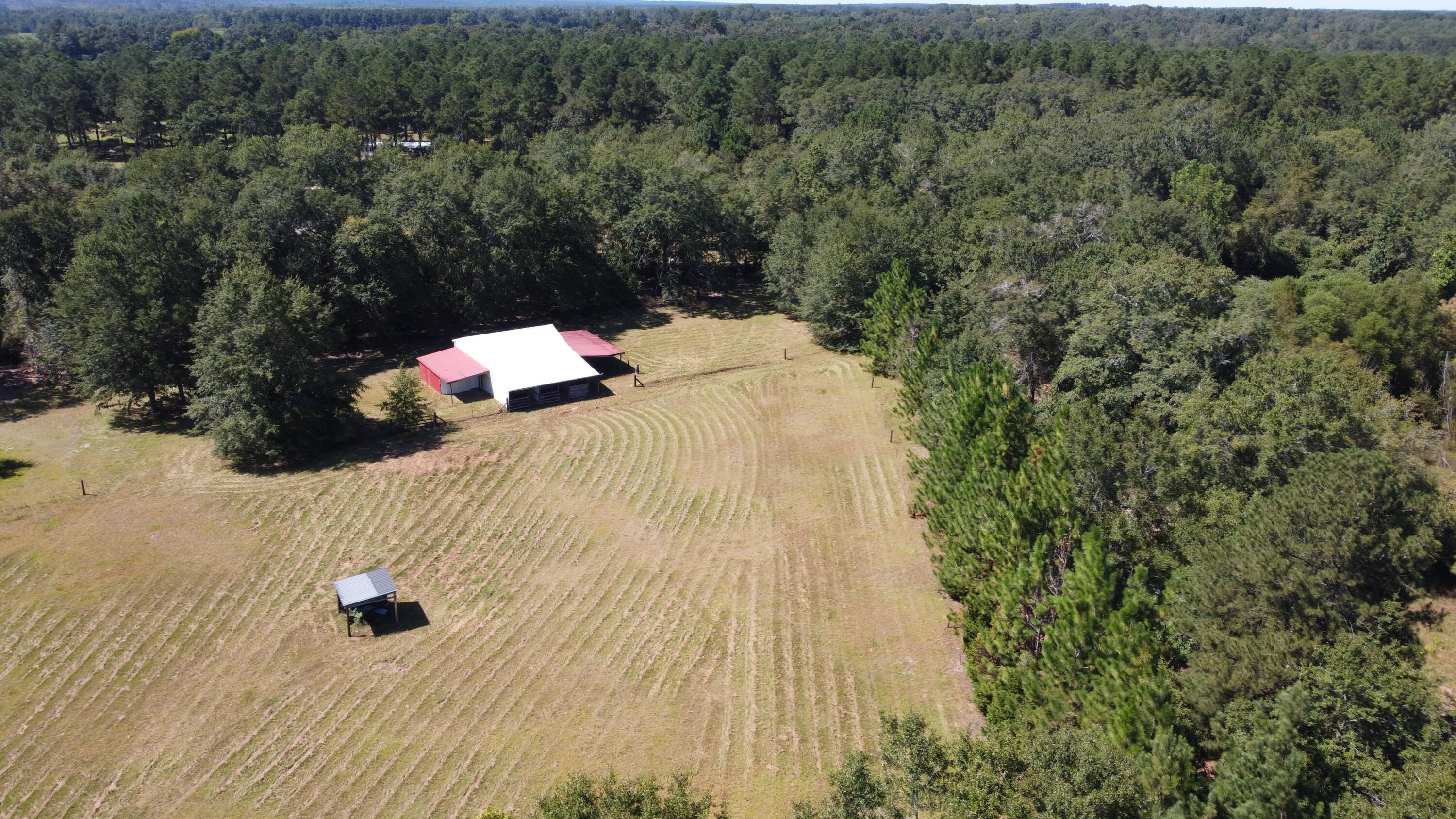 DJI_0751