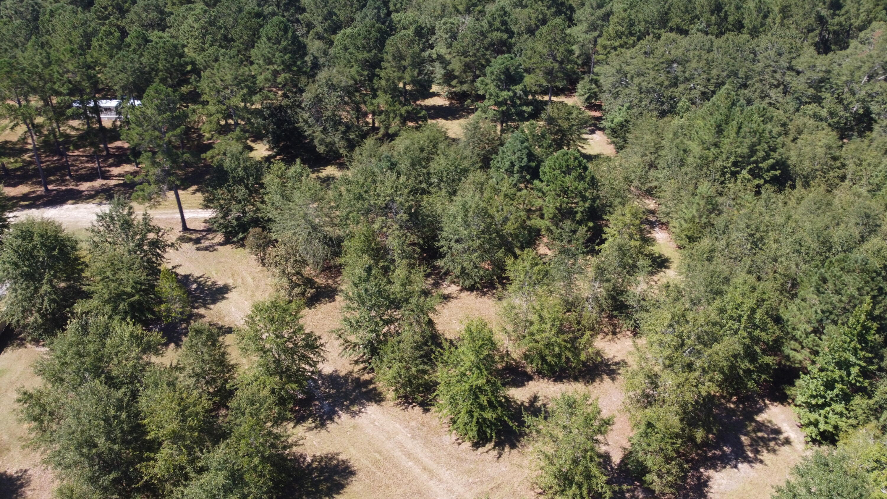 DJI_0752