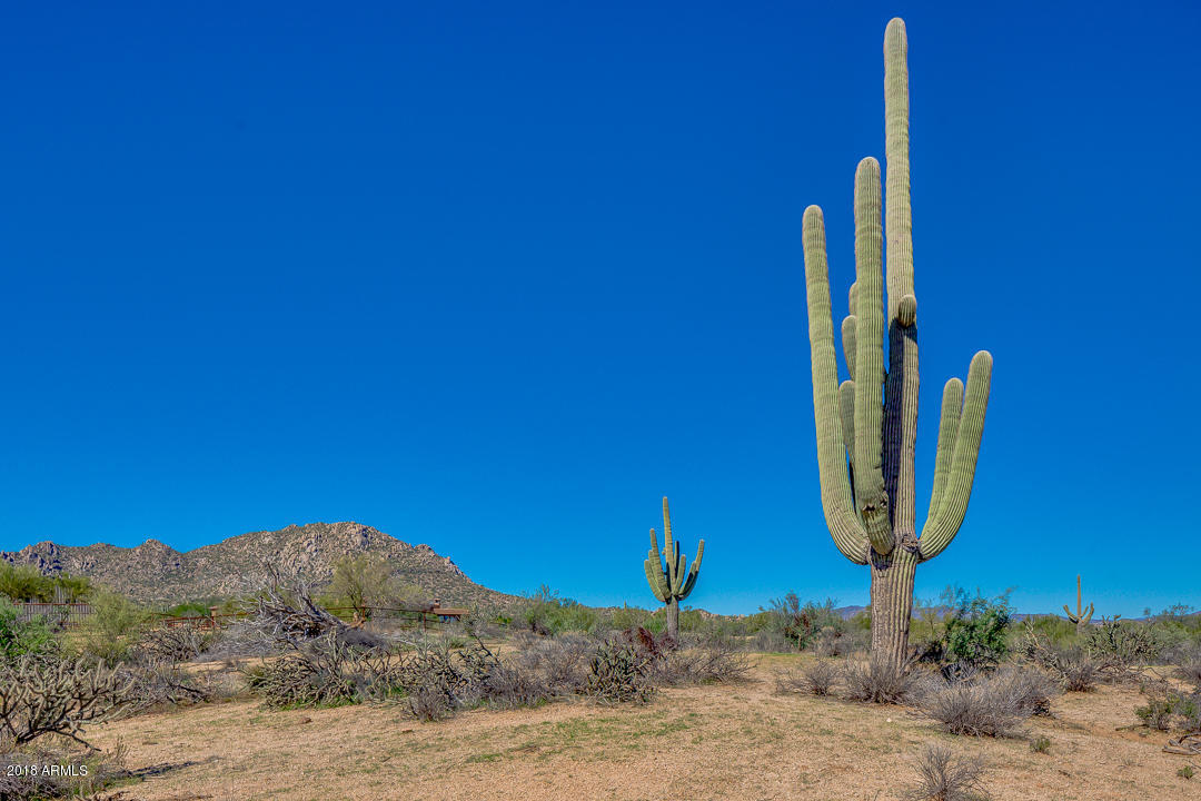 0 East Ranch Road Scottsdale, AZ 85262 - Photo 8 of 22 Stunning Saguaros