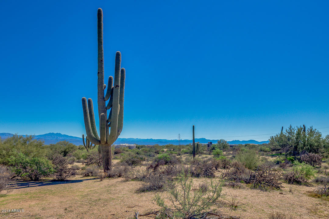 0 East Ranch Road Scottsdale, AZ 85262 - Photo 10 of 22 City Light Views