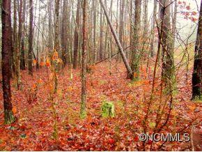 Lot 19 James View Road, Unit 19 Marion, NC 28752 - Photo 2 of 5 Gallery Image 2