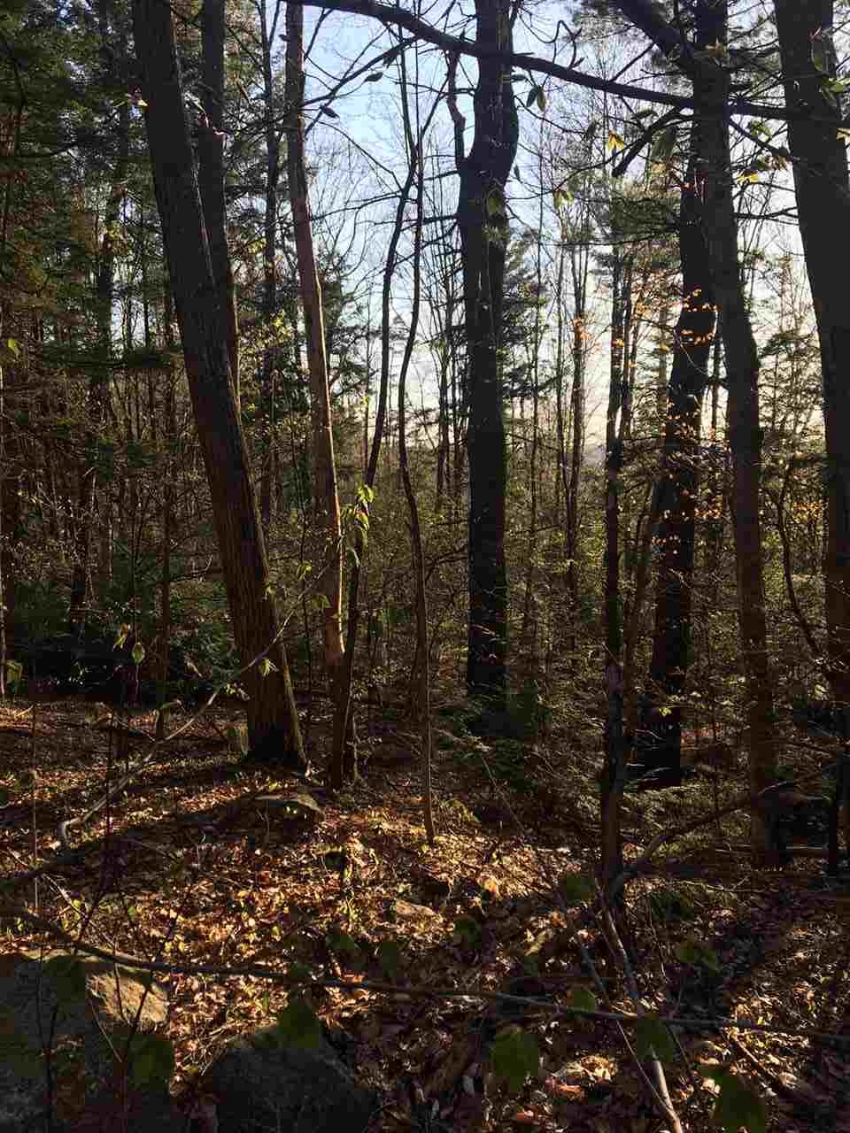 121 Webb Hill Road Fitzwilliam, NH 03447 - Photo 3 of 9
