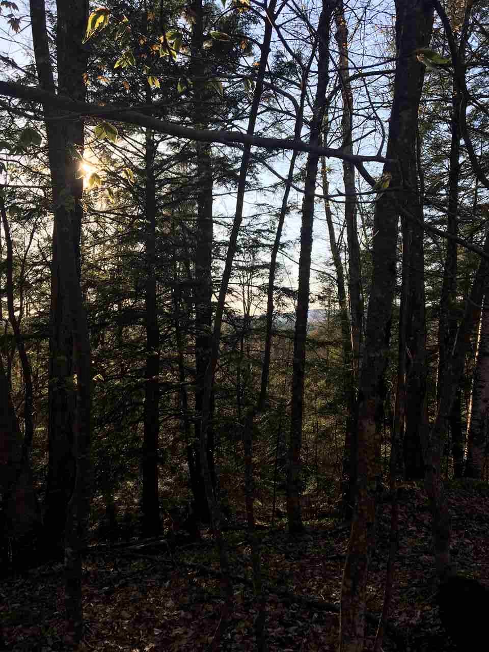121 Webb Hill Road Fitzwilliam, NH 03447 - Photo 4 of 9