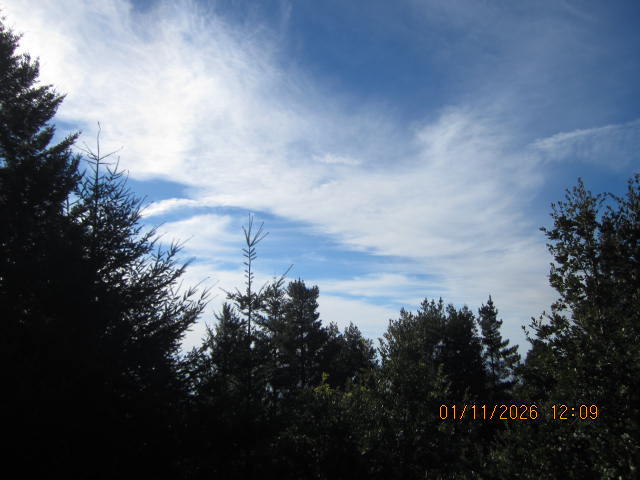 2715 Toth Road Shelter Cove, CA 95589 - Photo 5 of 27 IMG_0750