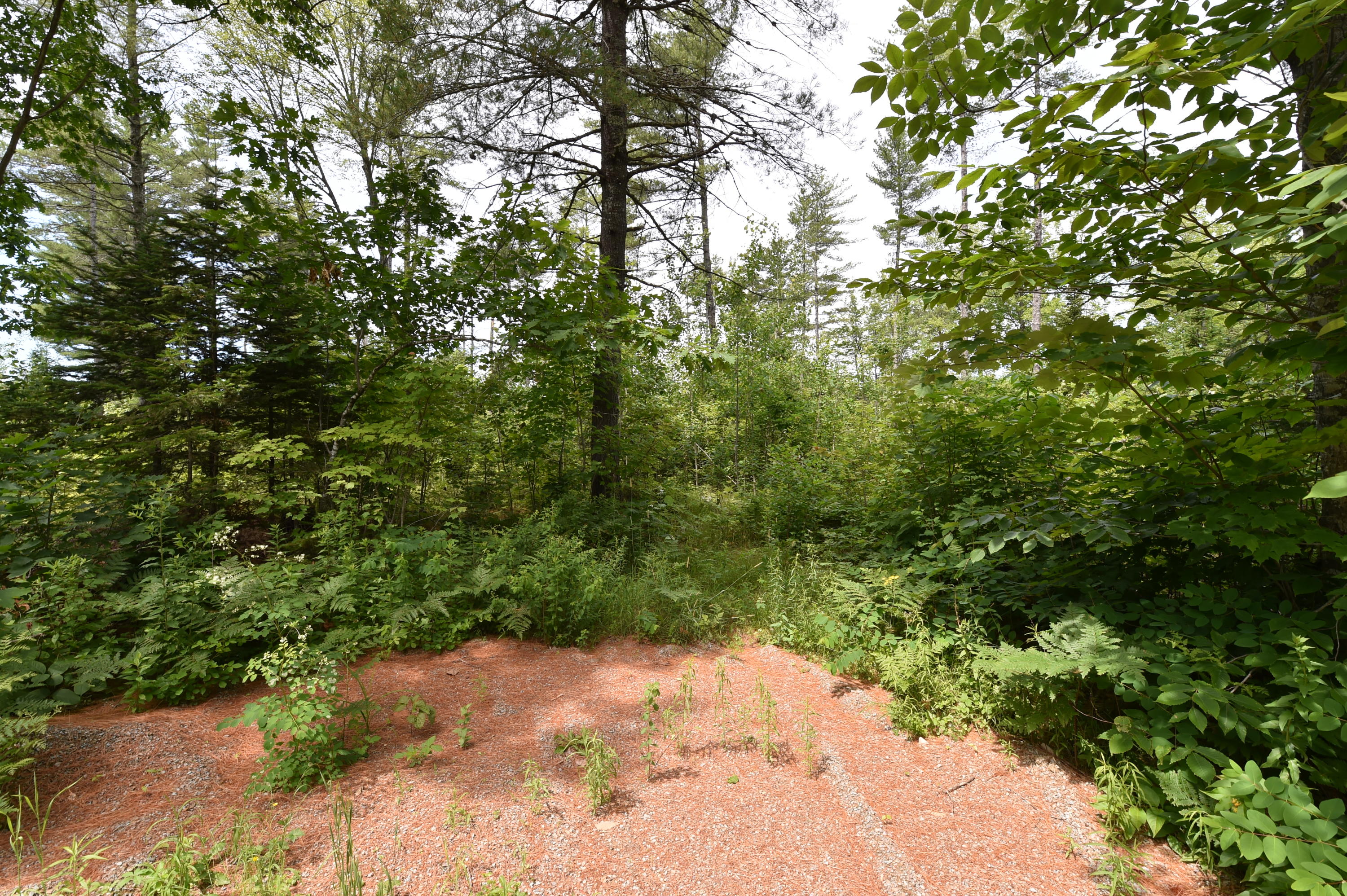0 Dunham Road Etna, ME 04434 - Photo 2 of 17 DSC_9102