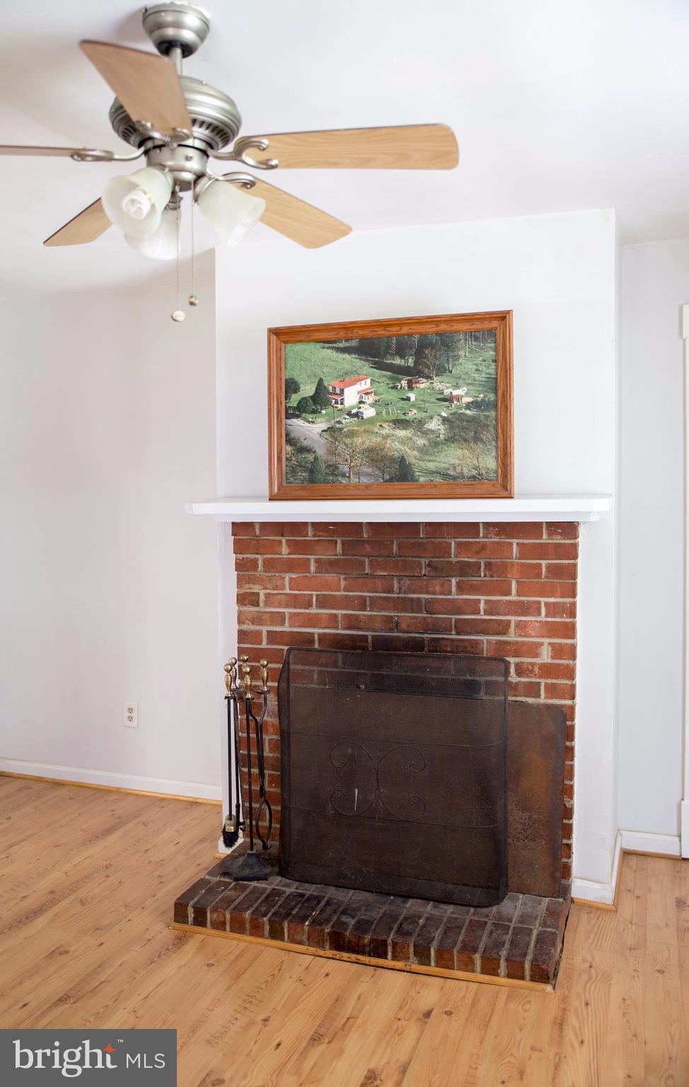 6498 Byrd Mill Road Louisa, VA 23093 - Photo 3 of 15 Fireplace