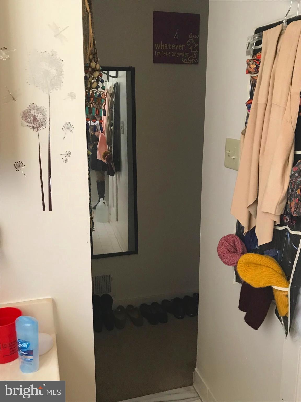 321 Scott Street Baltimore, MD 21230 - Photo 18 of 21 Bedroom (Master) - Closet Space off Bath