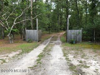 3337 Borough Road Currie, NC 28435 - Photo 2 of 33 Wood Driveway Gate