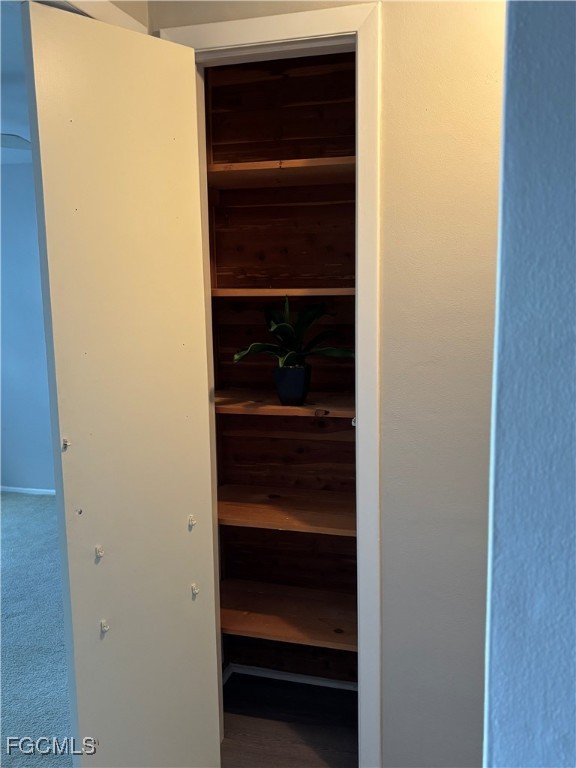 4232 Tamargo Drive New Port Richey, FL 34652 - Photo 9 of 20 a close view of walk in closet