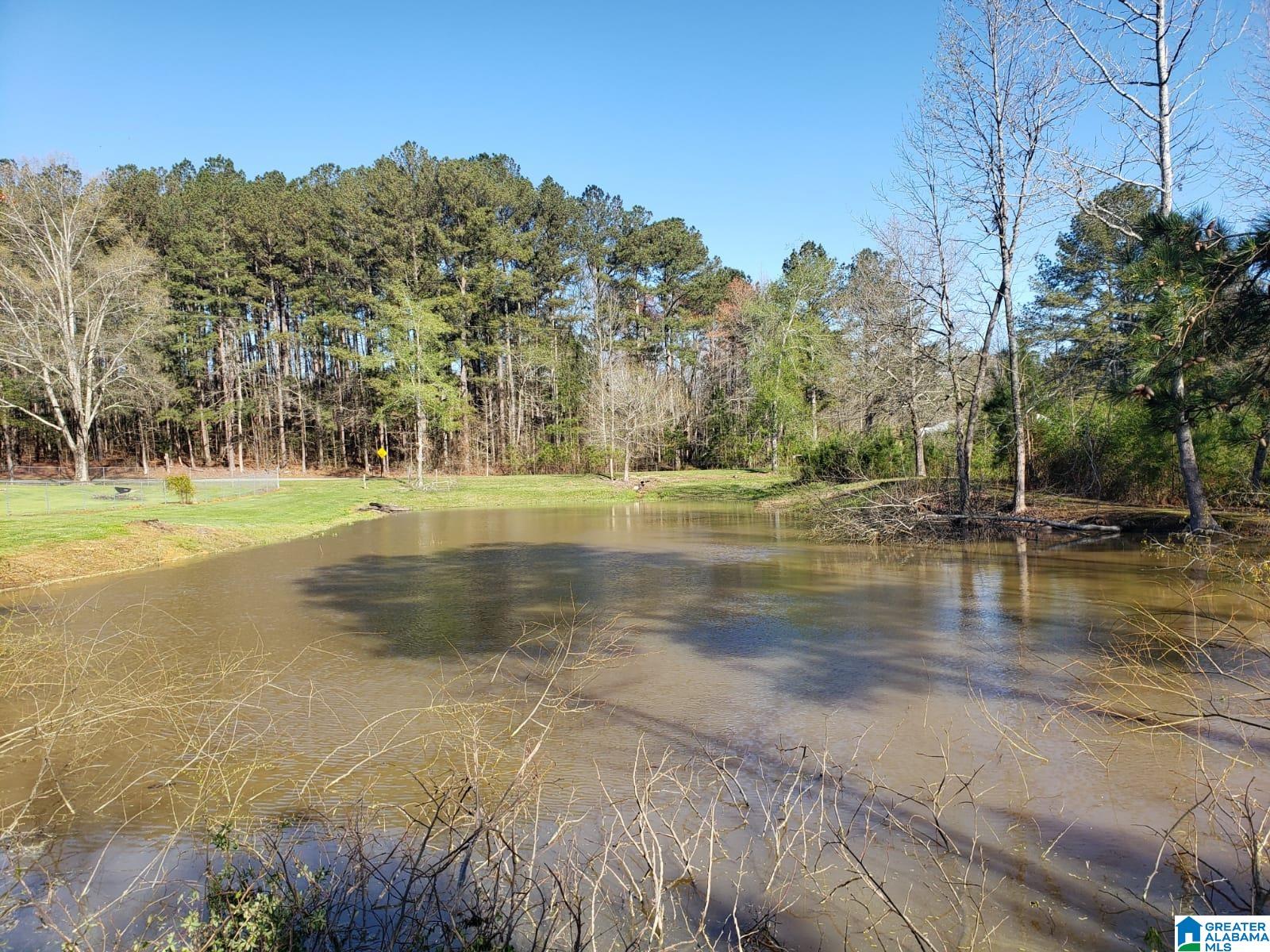 2015 Mayo Road Altoona, AL 35952 - Photo 9 of 30