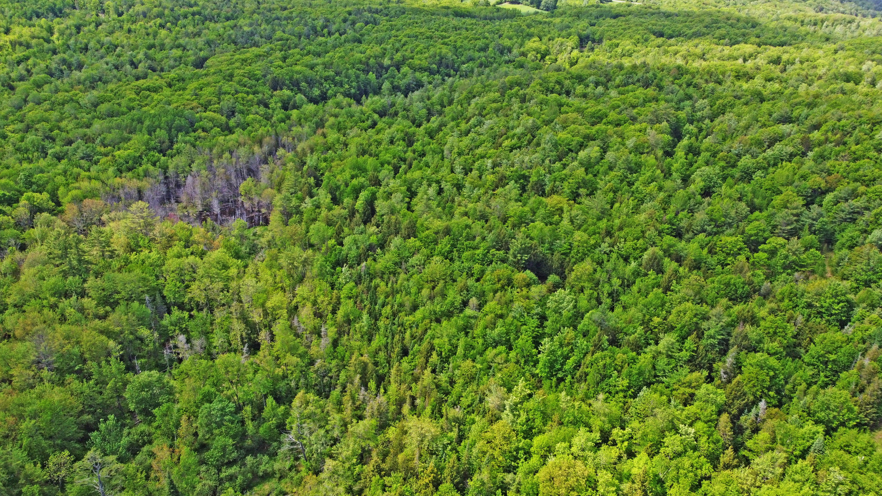 DJI_0616
