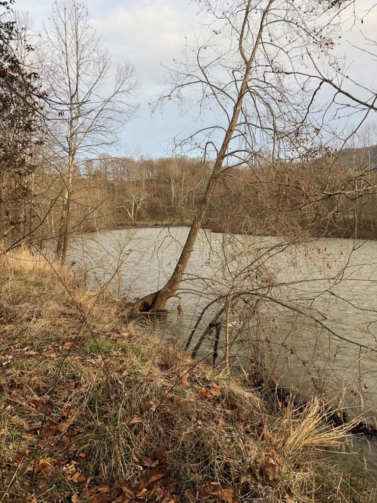 0 Forge Road Lexington, VA 24450 - Photo 7 of 14 7