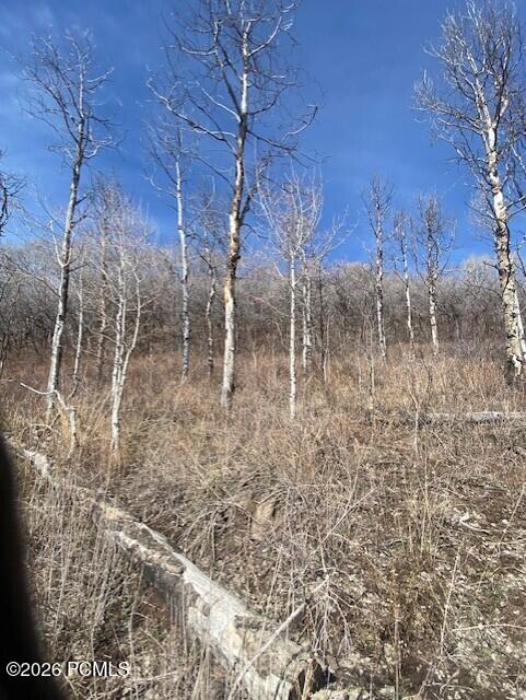 2604 South Forest Meadow Road Coalville, UT 84017 - Photo 16 of 28