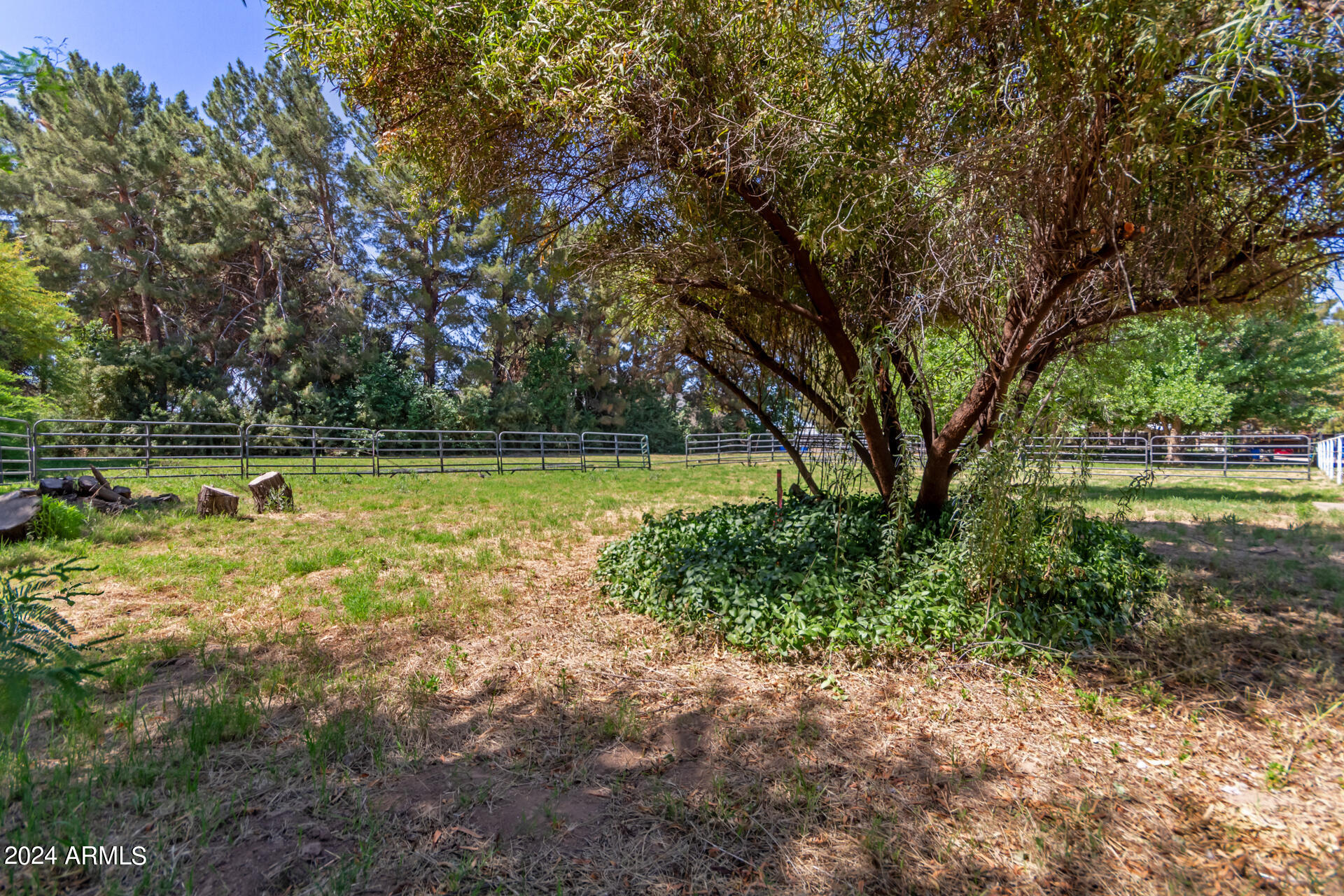21410 South Lindsay Road Chandler, AZ 85286 - Photo 19 of 28 pasture