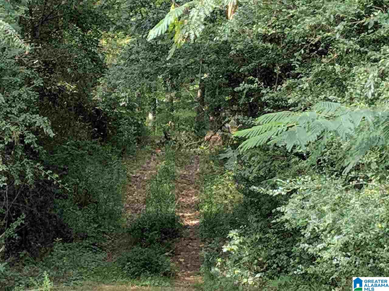 7979 Highway 11 Springville, AL 35146 - Photo 12 of 12