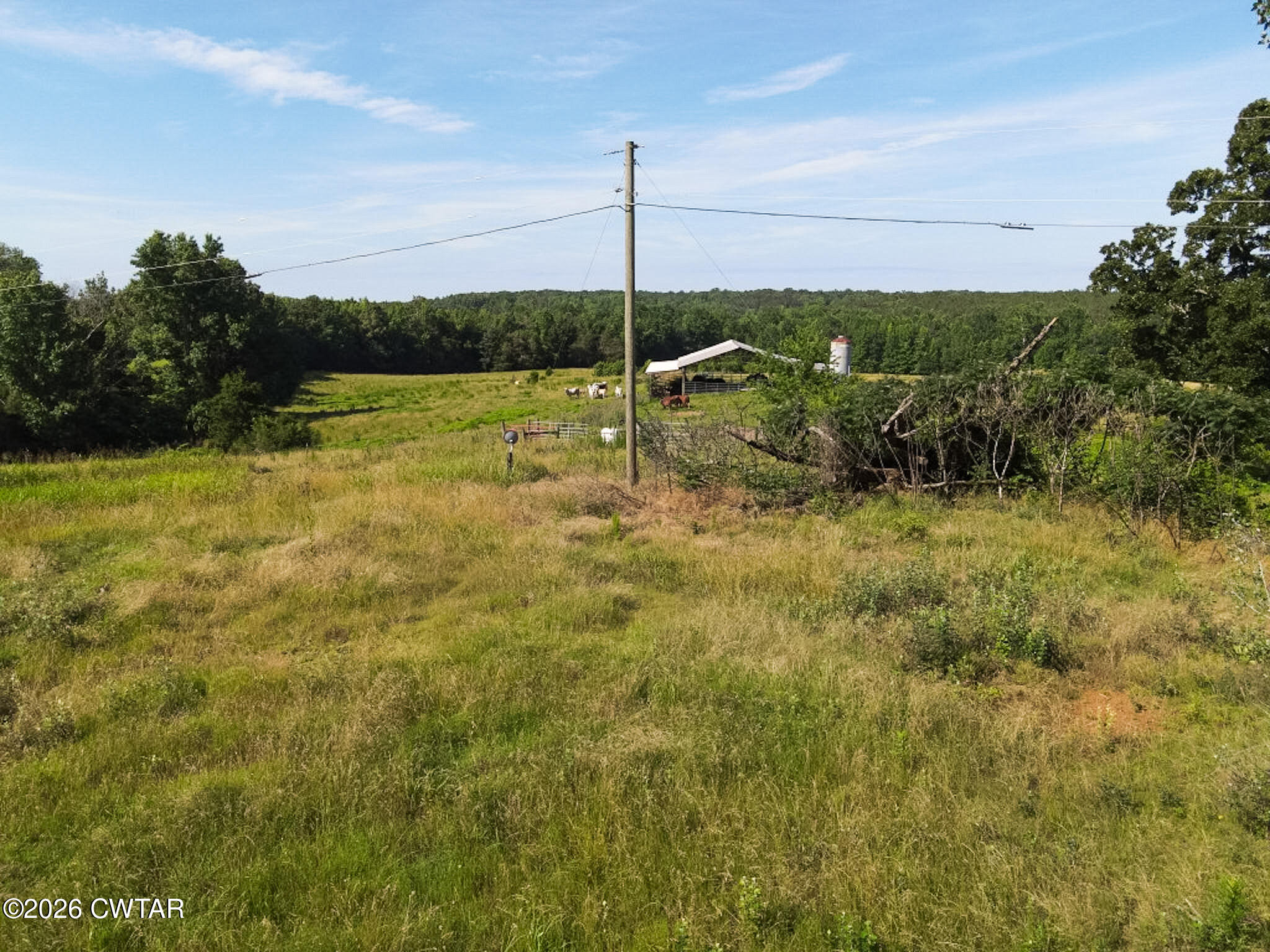 1074 McGee Road Scotts Hill, TN 38374 - Photo 28 of 38 DJI_0617 (Medium)