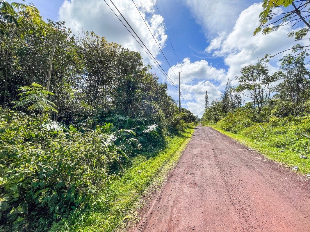 6 Pakaka Road Pahoa, HI 96778 - Photo 3 of 7 a view of a yard with plants