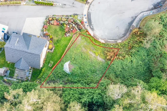 an aerial view of house swimming pool and outdoor space