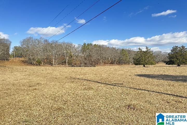 1036 Rushing Springs Road Lincoln, AL 35096 - Photo 48 of 58