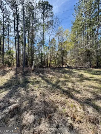 $89,000 | 0 East Ga Hwy 86, Lyons, GA 30436