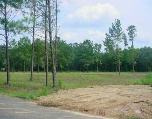 0 R R Harper Road Robert, LA 70455 - Photo 1 of 1 Gallery Image 1