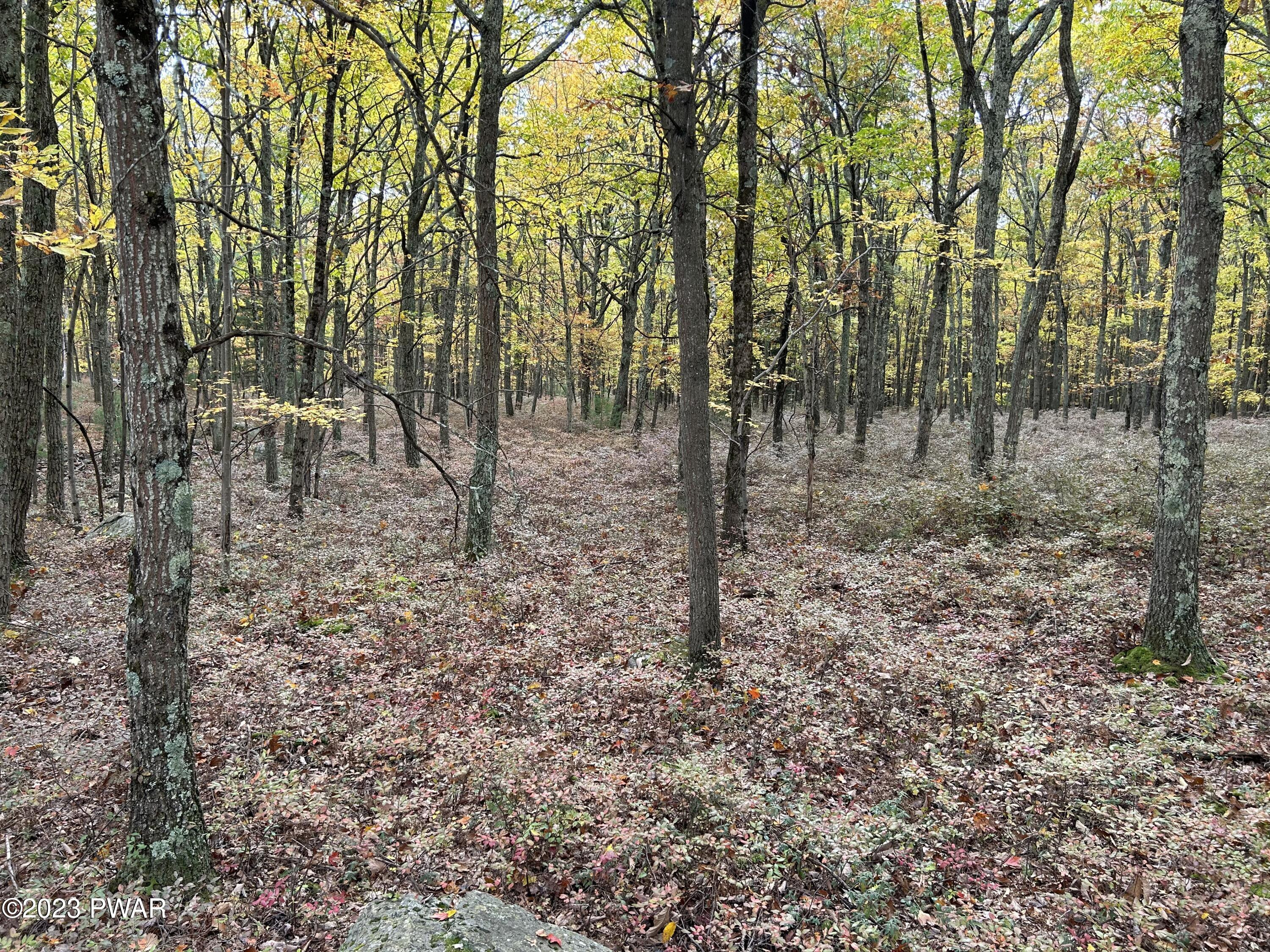 Lot 26 Timber Ridge Drive Hawley, PA 18428 - Photo 9 of 18