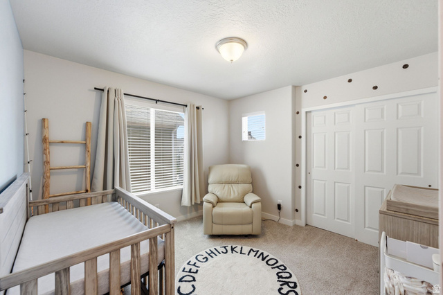 7565 Grahm Lane Midvale, UT 84047 - Photo 42 of 53