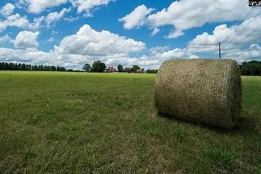 $1,599,000 | 596 Neeses Highway, Orangeburg, SC 29115