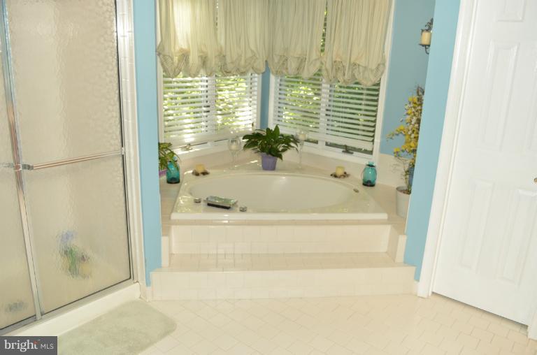 9215 Bretton Reef Road Baltimore, MD 21234 - Photo 13 of 25 Bath (Master) #1