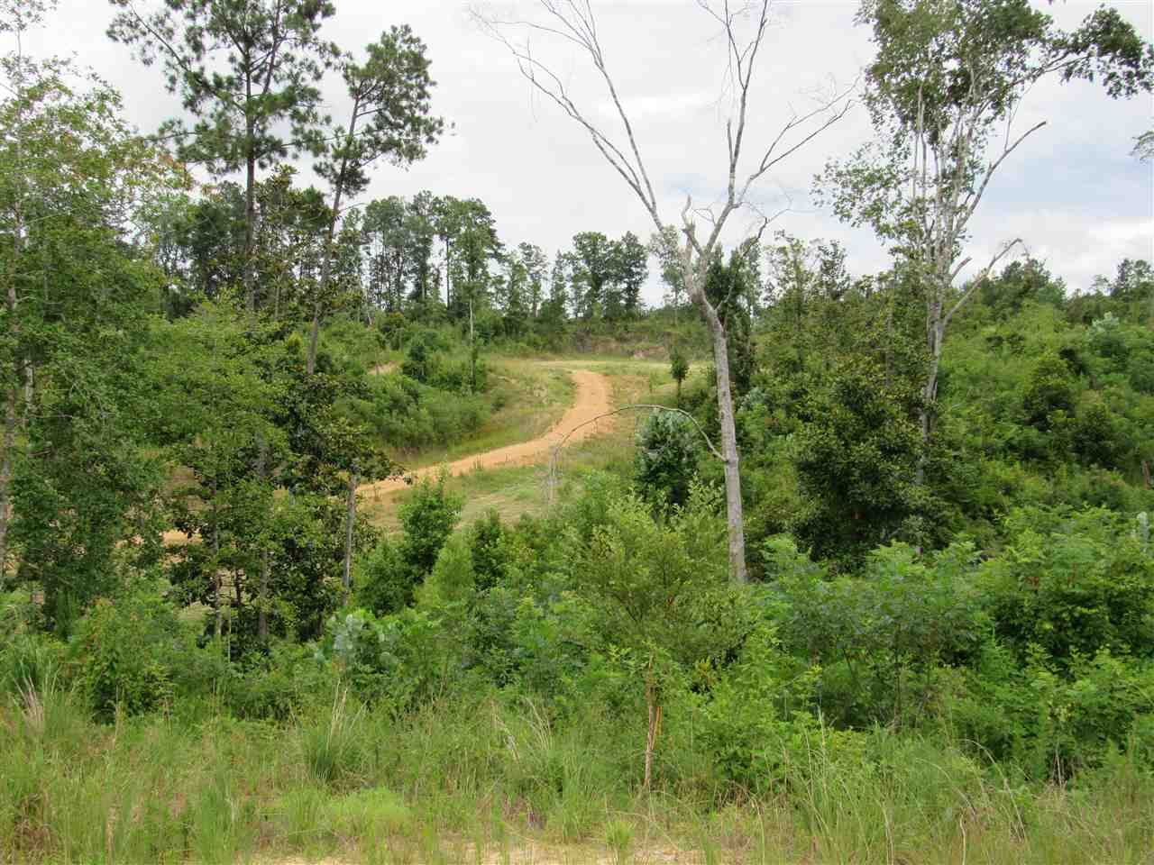 0 Arch Byrd Road Meadville, MS 39653 - Photo 14 of 26 Photo 14