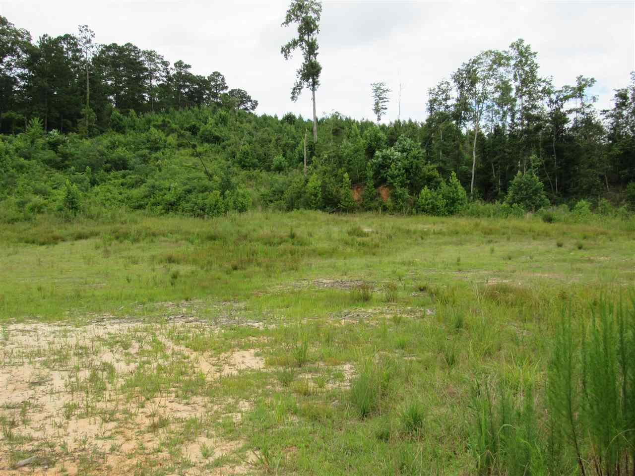 0 Arch Byrd Road Meadville, MS 39653 - Photo 6 of 26 Photo 6