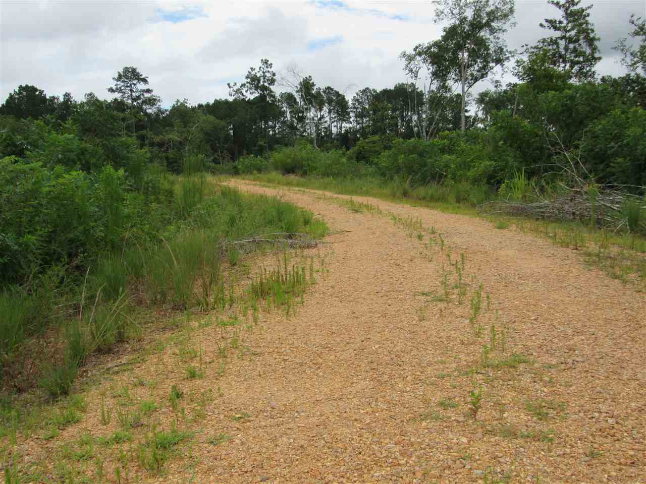 0 Arch Byrd Road Meadville, MS 39653 - Photo 7 of 26 Photo 7