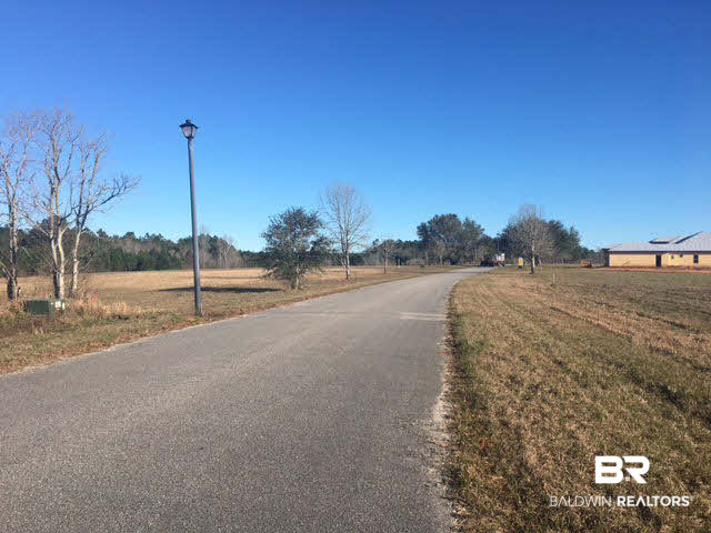 0 Balsam Creek Drive Foley, AL 36535 - Photo 3 of 4 St. View East