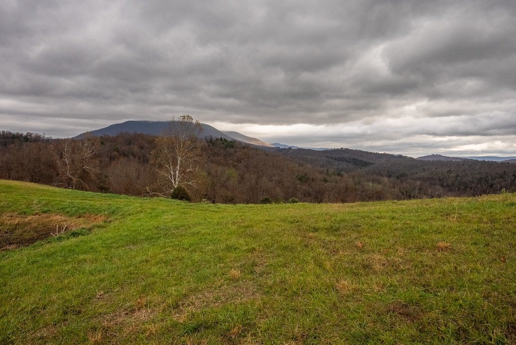 Lot 2 Curve Road Pearisburg, VA 24134 - Photo 21 of 34 Gallery Image 21