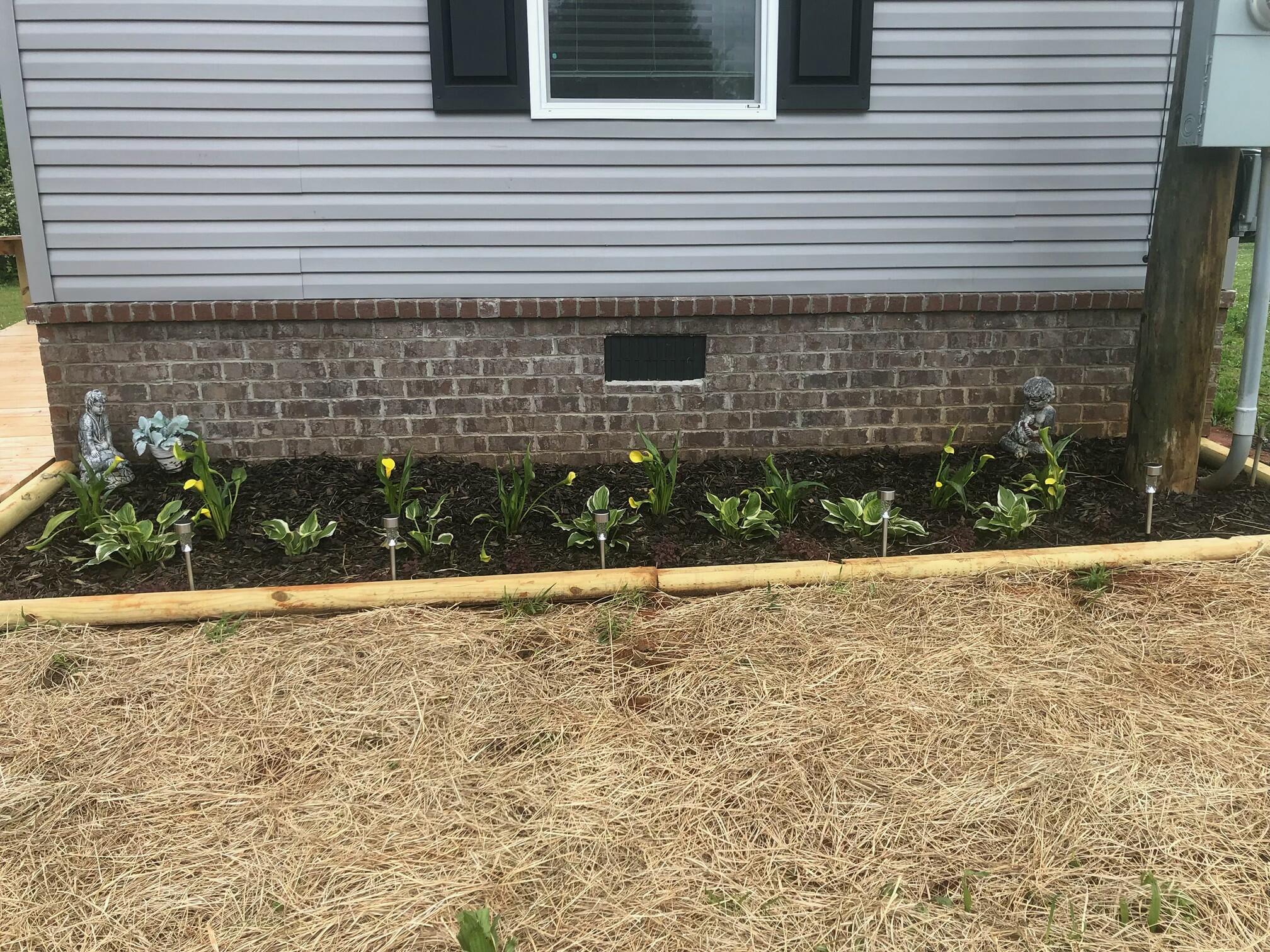 2276 County Road 95 Higdon, AL 35979 - Photo 2 of 36 IMG_0755
