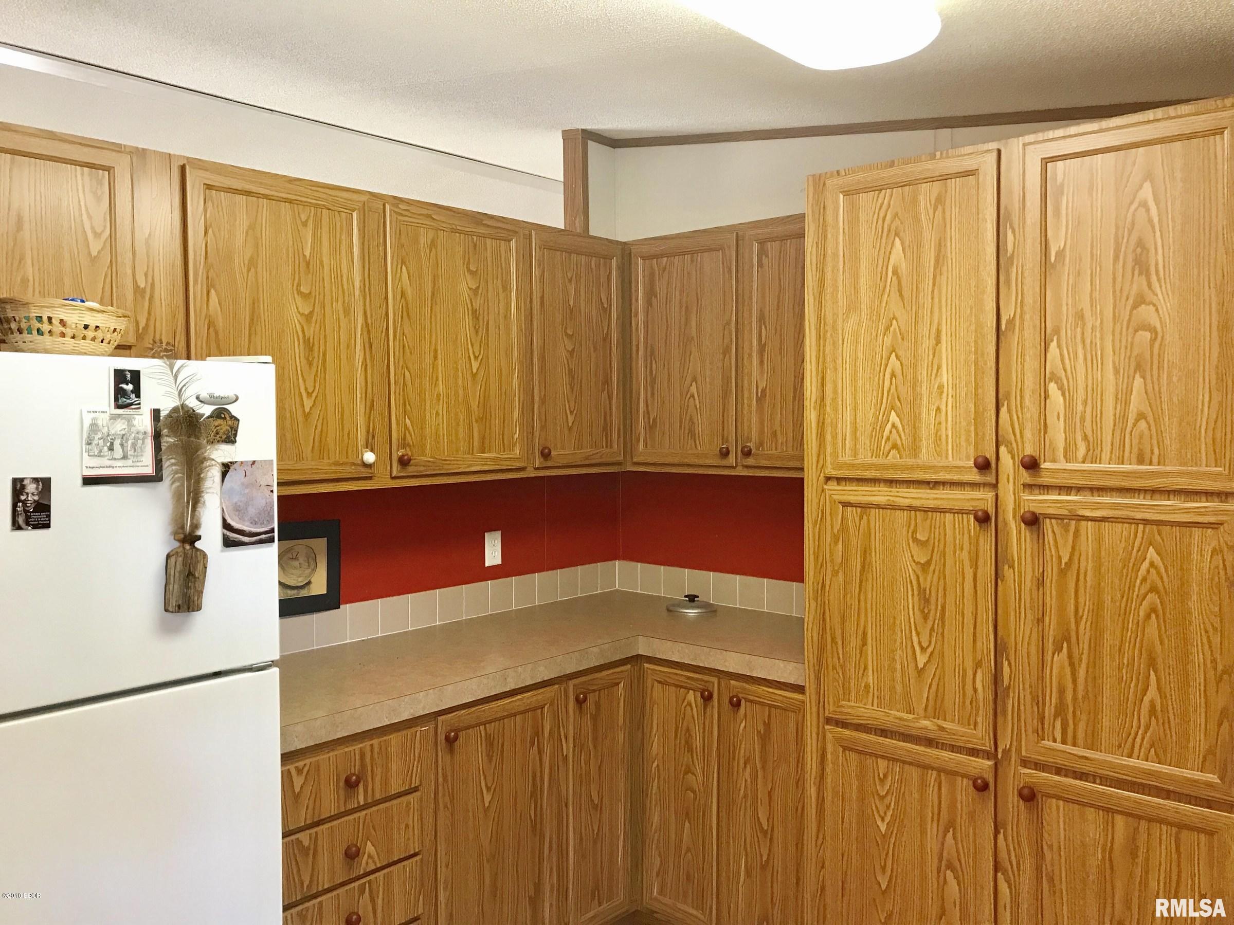 4538 Giant City Road Carbondale, IL 62902 - Photo 16 of 50