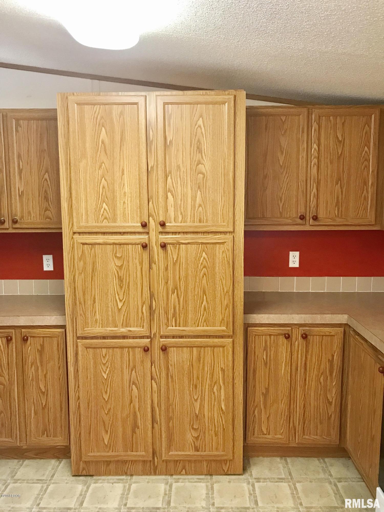 4538 Giant City Road Carbondale, IL 62902 - Photo 17 of 50