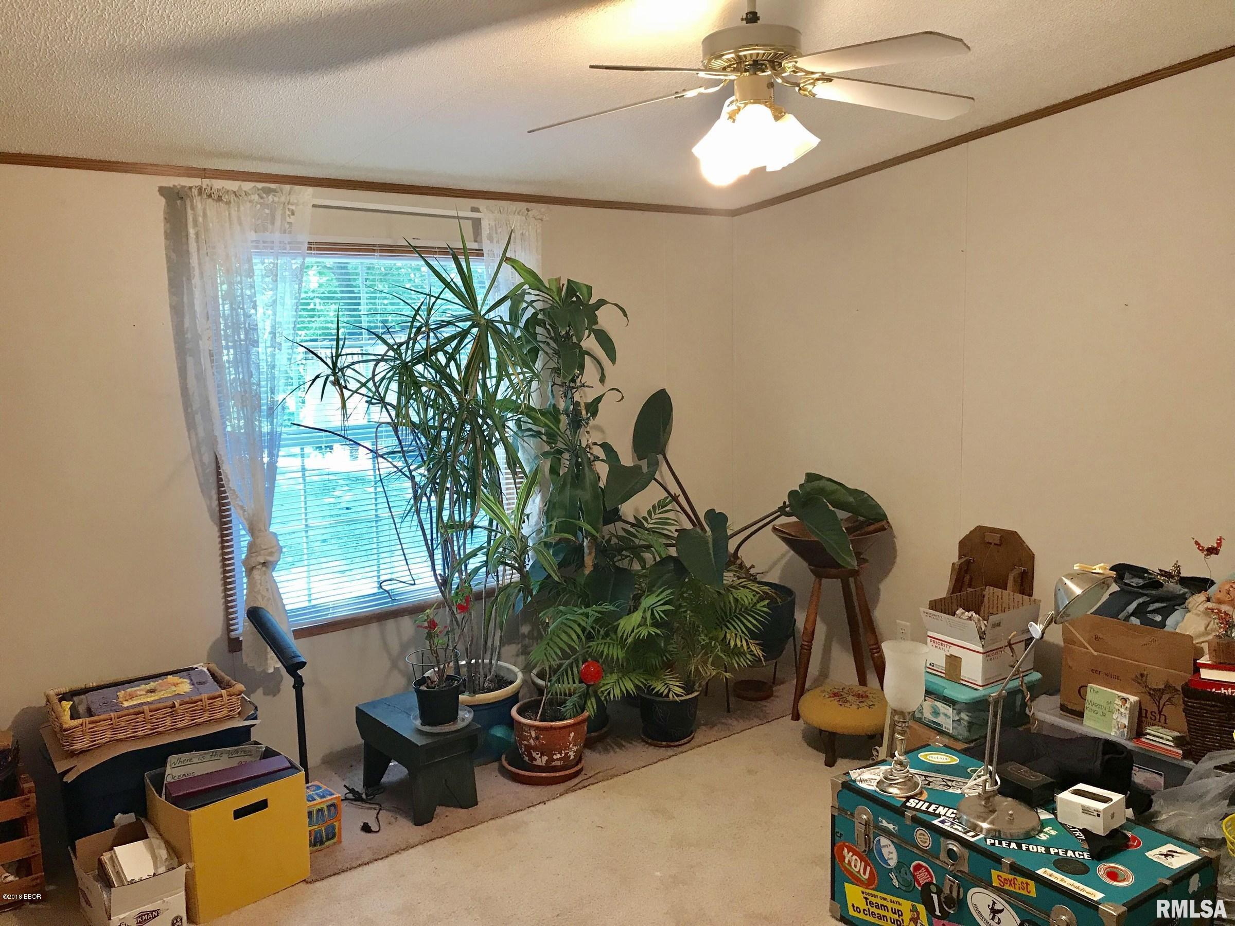 4538 Giant City Road Carbondale, IL 62902 - Photo 29 of 50