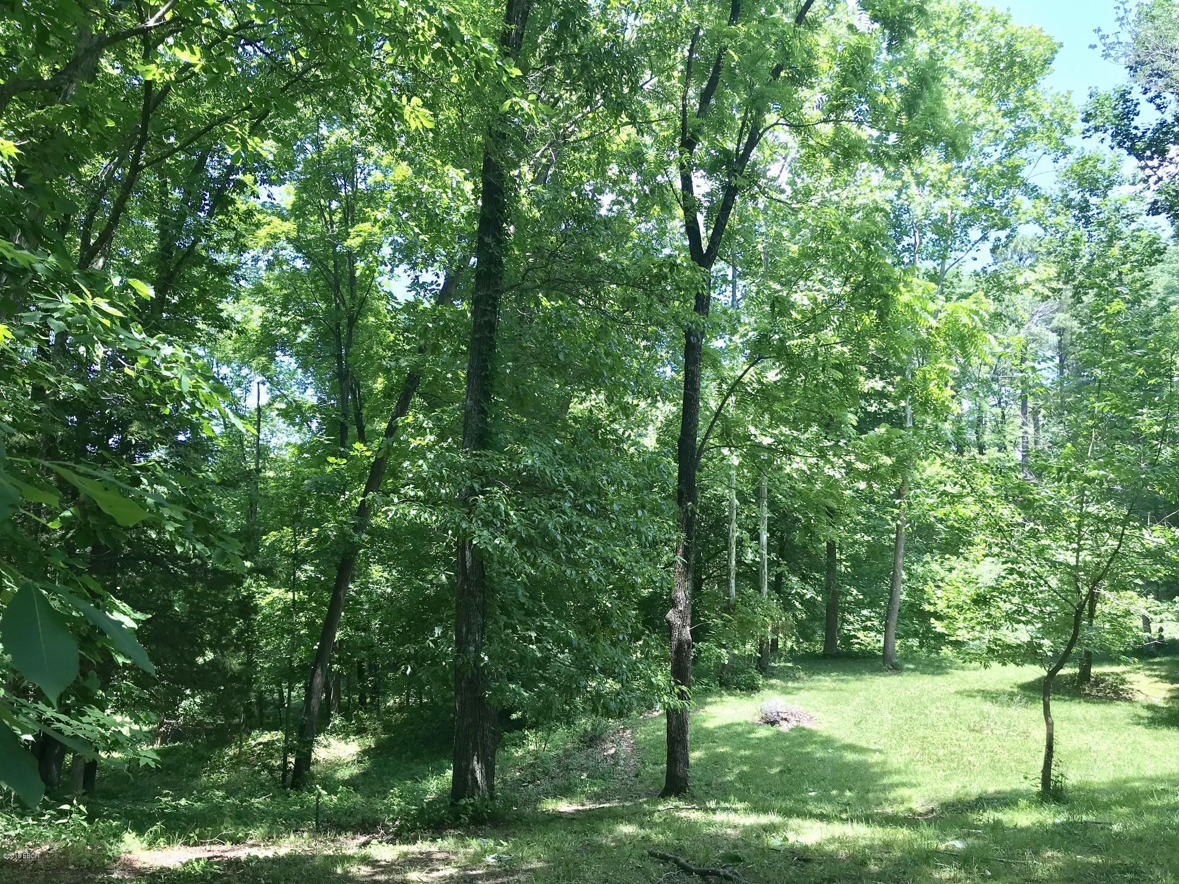 4538 Giant City Road Carbondale, IL 62902 - Photo 50 of 50